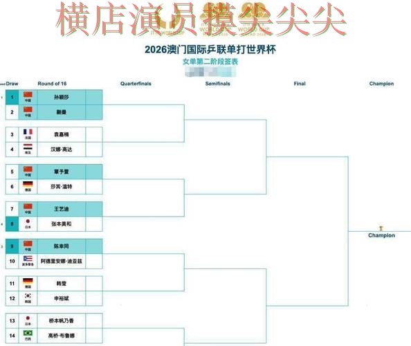 世界杯买球平台汇总：访问方式+直播全指南 - 世界杯高清直播